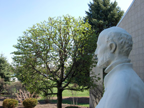 Ignatius Statue - Examen